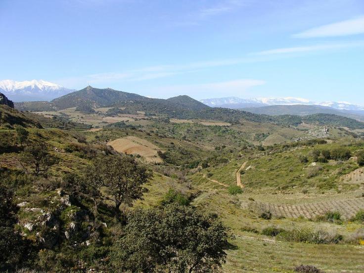 c136f3_617840d525b6452b994c7a3ae64302c1.jpg_srb_p_927_695_75_22_0.50_1.20_0.00