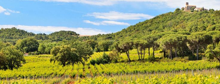 connaitre_terroirs_diapo01