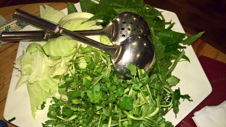 WP_20170705_19_18_26_Pro